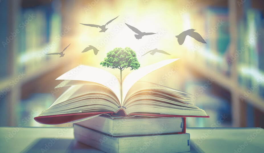 The concept of education by planting knowledge trees and birds flying to the future to open old books in the library, beautiful blurred background